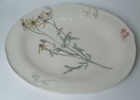 http://www.francesleeceramics.com/files/gimgs/th-34_oval platter with yellow flowers web.jpg